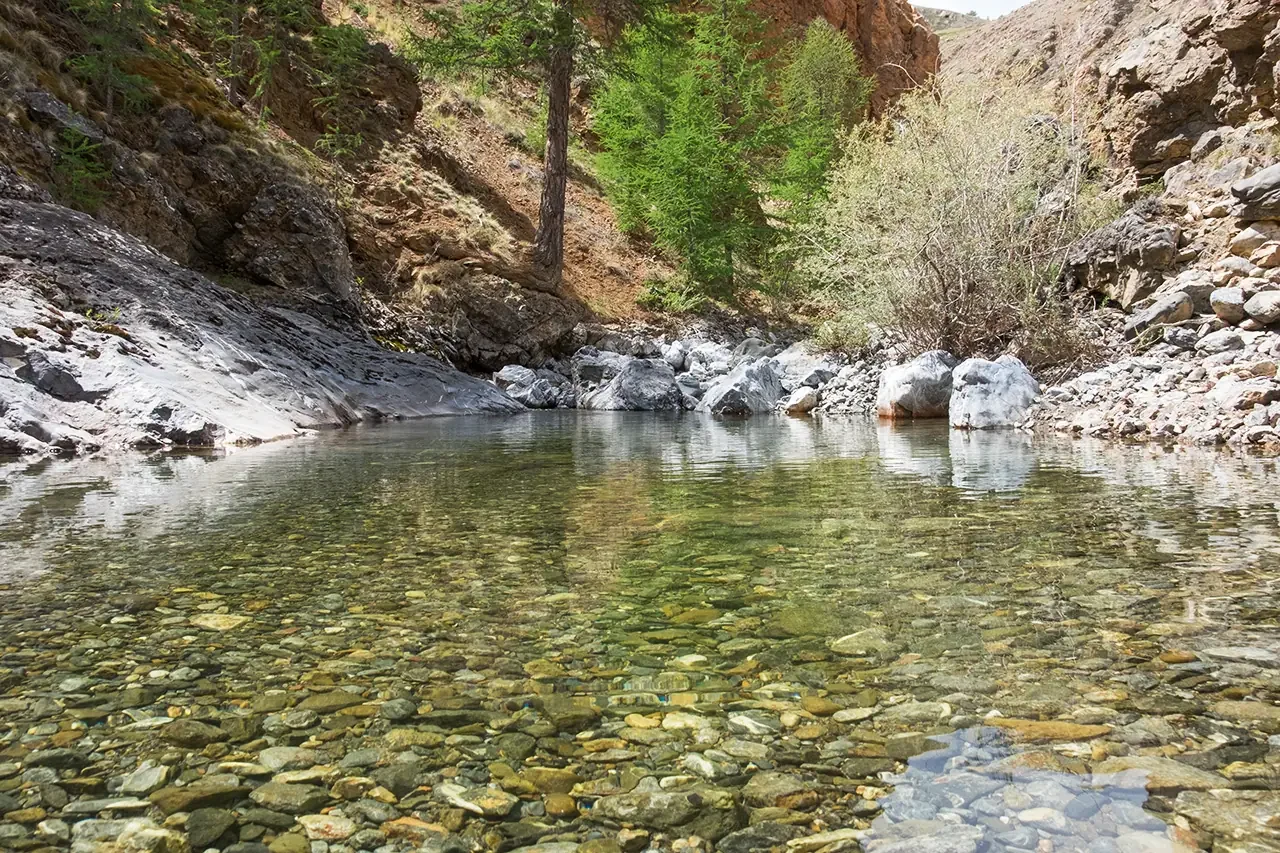 Горный ручей с прозрачной водой и камнями
